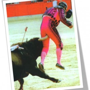 Bullfight1